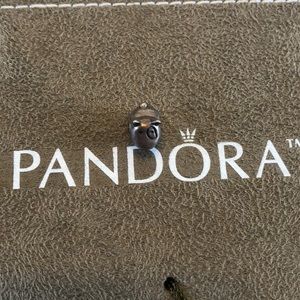 Pandora Dog Charm